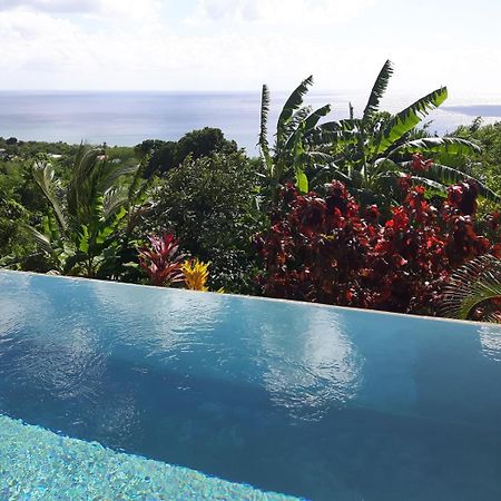 Kaye Mango Villa Soufriere Bagian luar foto