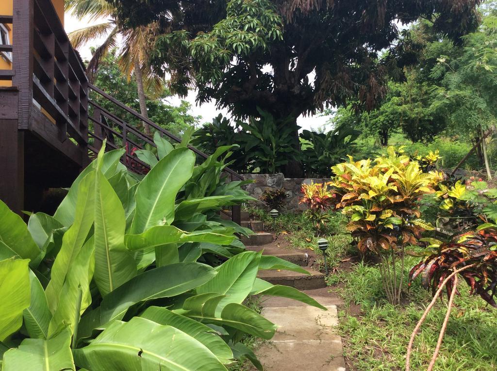 Kaye Mango Villa Soufriere Bagian luar foto