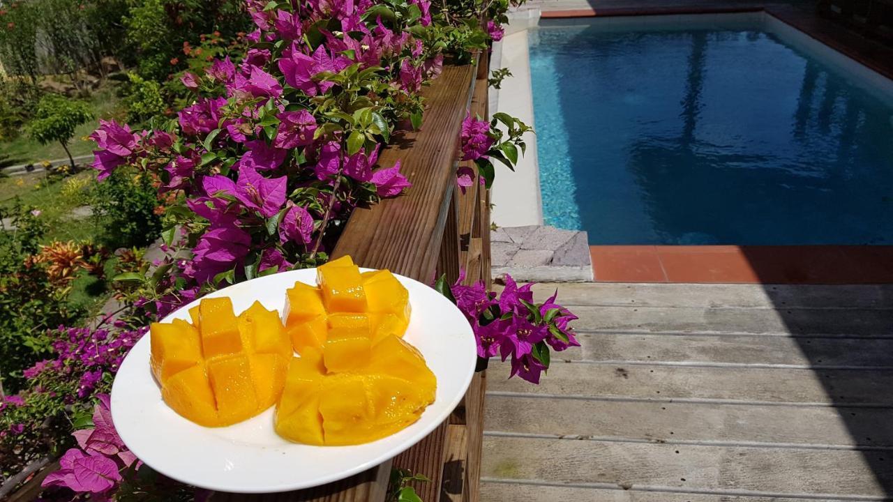Kaye Mango Villa Soufriere Bagian luar foto
