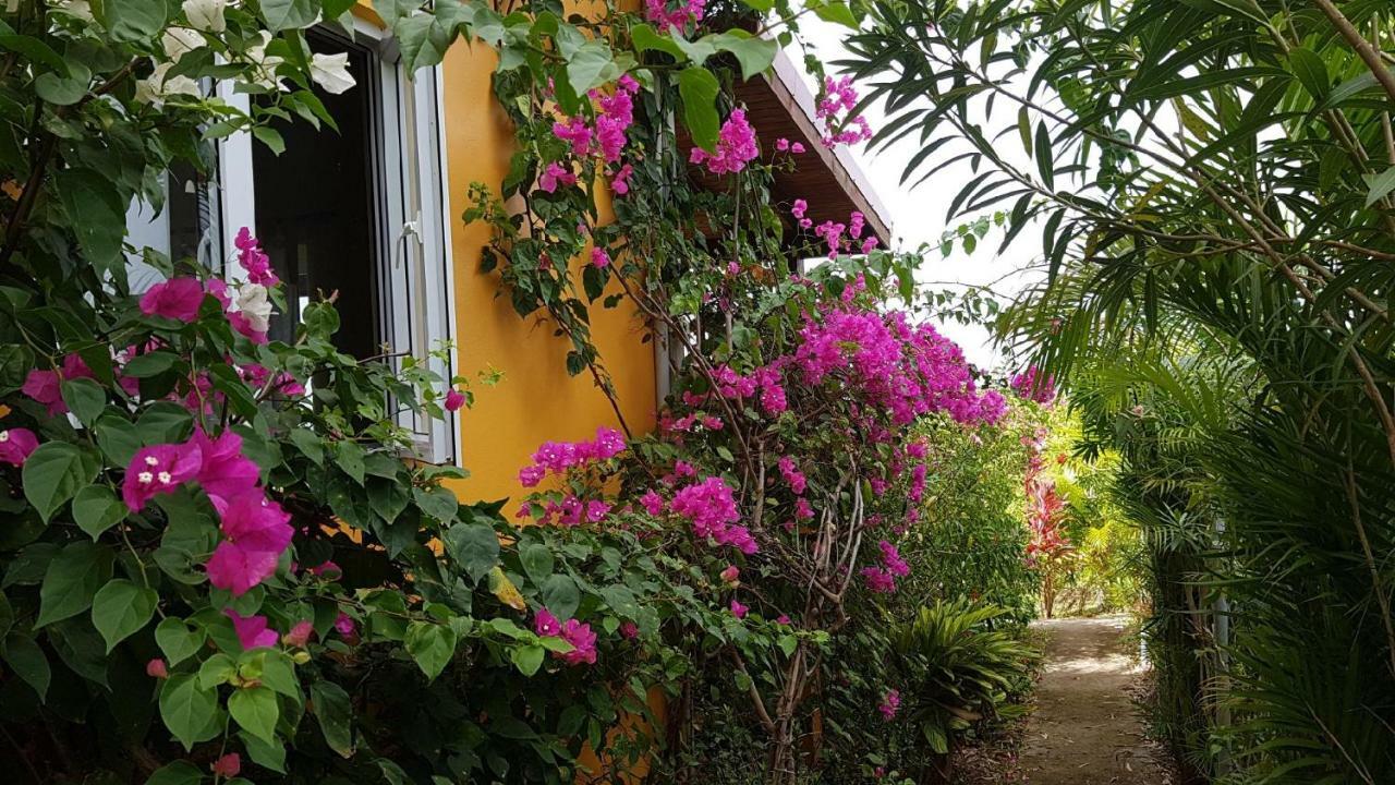 Kaye Mango Villa Soufriere Bagian luar foto