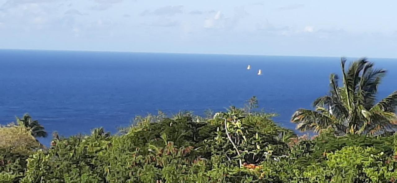 Kaye Mango Villa Soufriere Bagian luar foto