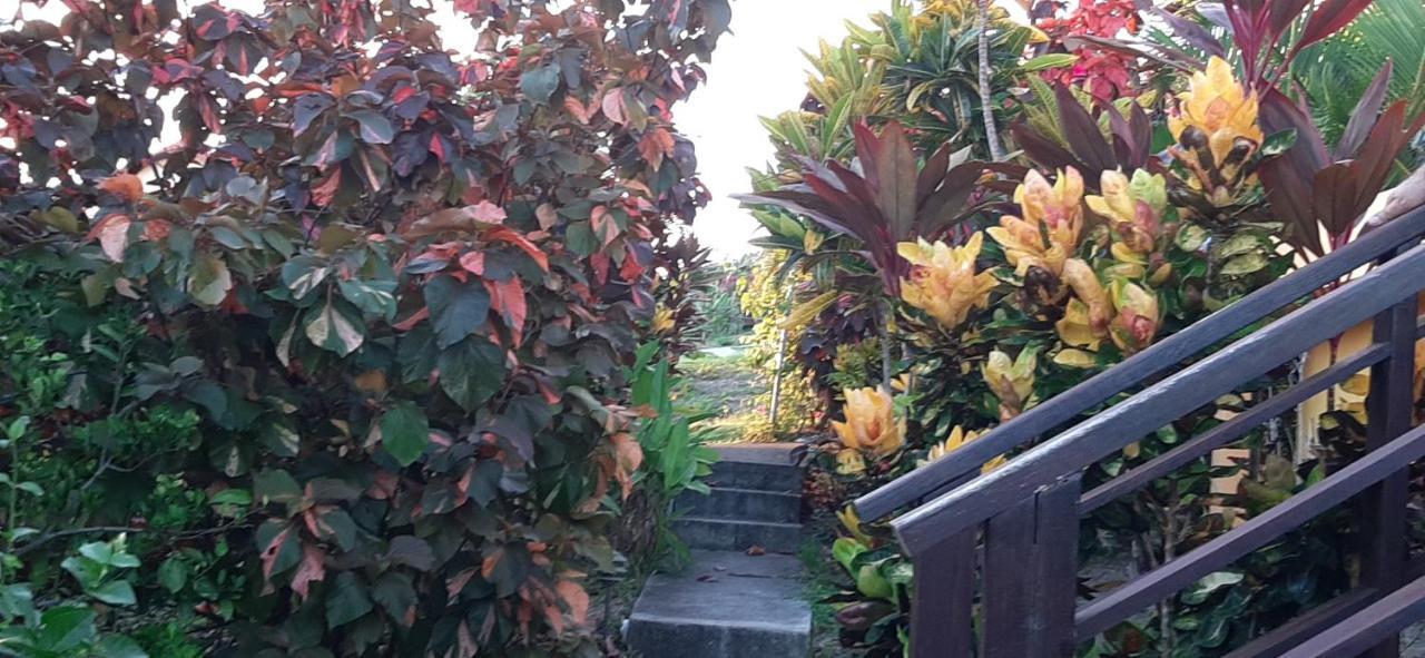 Kaye Mango Villa Soufriere Bagian luar foto