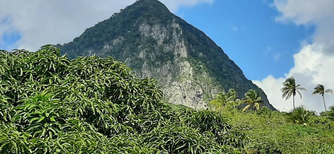 Kaye Mango Villa Soufriere Bagian luar foto