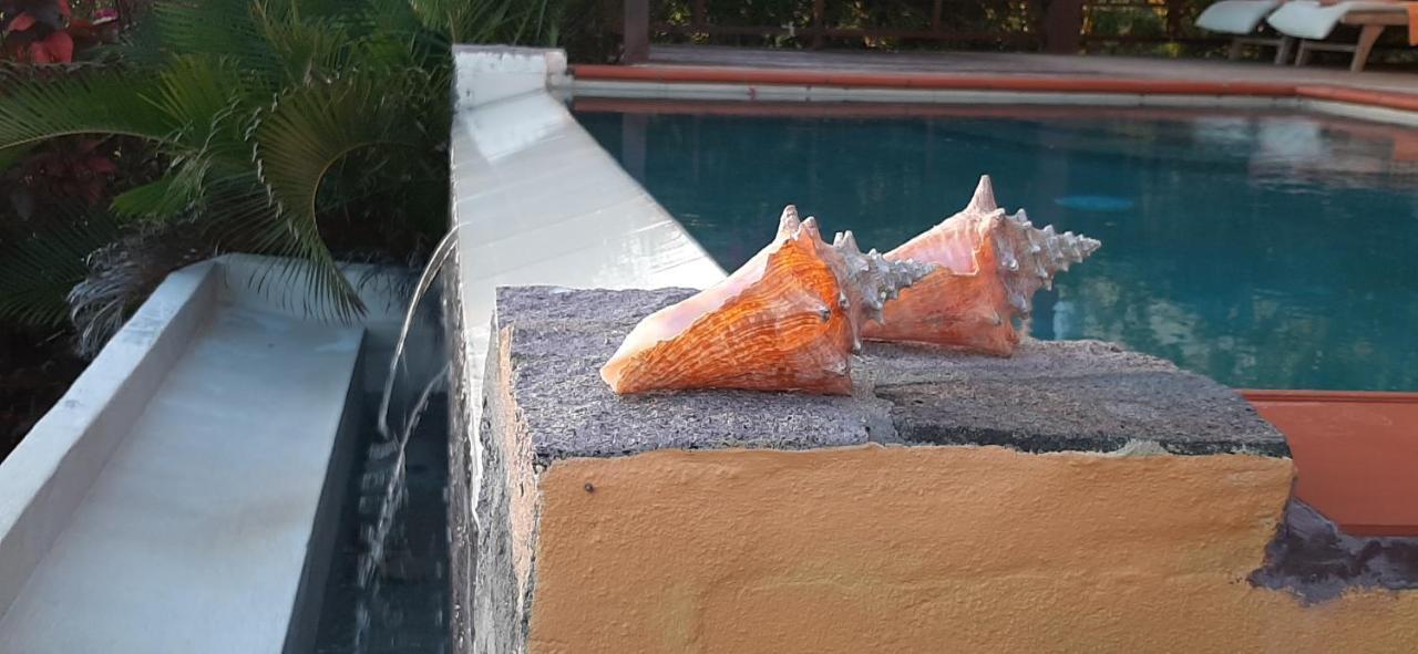 Kaye Mango Villa Soufriere Bagian luar foto